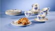 Villeroy & Boch Mariefleur Gris Basic kavos servizas, 18 vnt. цена и информация | Indai, lėkštės, pietų servizai | pigu.lt