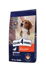 Club 4 Paws Premium visavertis sausas maistas suaugusiems vidutinių veislių šunims su antiena, 14 kg kaina ir informacija | Sausas maistas šunims | pigu.lt