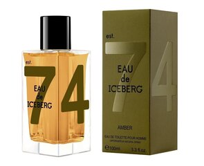 Туалетная вода Iceberg Eau de Iceberg Amber edt 100 мл цена и информация | Мужские духи | pigu.lt