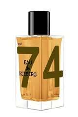 Туалетная вода Iceberg Eau de Iceberg Amber edt 100 мл цена и информация | Мужские духи | pigu.lt