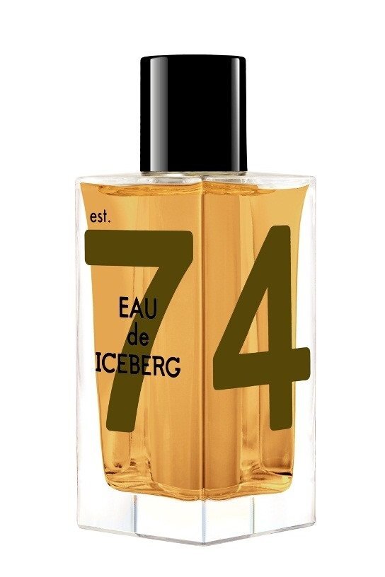 Tualetinis vanduo Iceberg Eau de Iceberg Amber EDT vyrams 100 ml цена и информация | Kvepalai vyrams | pigu.lt