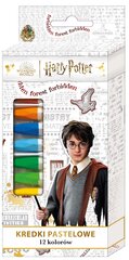 Kreidelės Harry Potter, 12 spalv. kaina ir informacija | Piešimo, tapybos, lipdymo reikmenys | pigu.lt