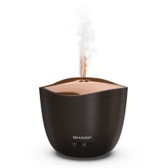 Увлажнитель Sharp Aroma Diffuser DF-A1E-T Ultrasonic цена и информация | Увлажнители воздуха | pigu.lt