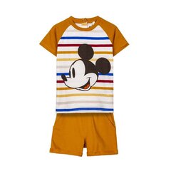 Предметы одежды Mickey Mouse Детский Горчица цена и информация | Комплекты одежды для новорожденных | pigu.lt