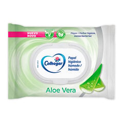 Влажная туалетная бумага Colhogar Aloe Vera, 42 шт цена и информация | Туалетная бумага, бумажные полотенца | pigu.lt