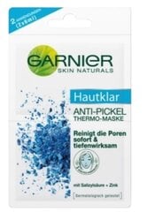 Veido kaukė nuo spuogų Garnier, 2 x 6 ml kaina ir informacija | Veido kaukės, paakių kaukės | pigu.lt