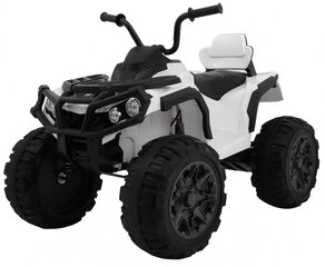 Keturratis Quad ATV 2, baltas kaina ir informacija | Elektromobiliai vaikams | pigu.lt