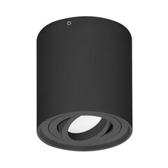 Круглый светильник CAROLIN DLR черный OR-OD-6146BGU10 цена и информация | Потолочные светильники | pigu.lt