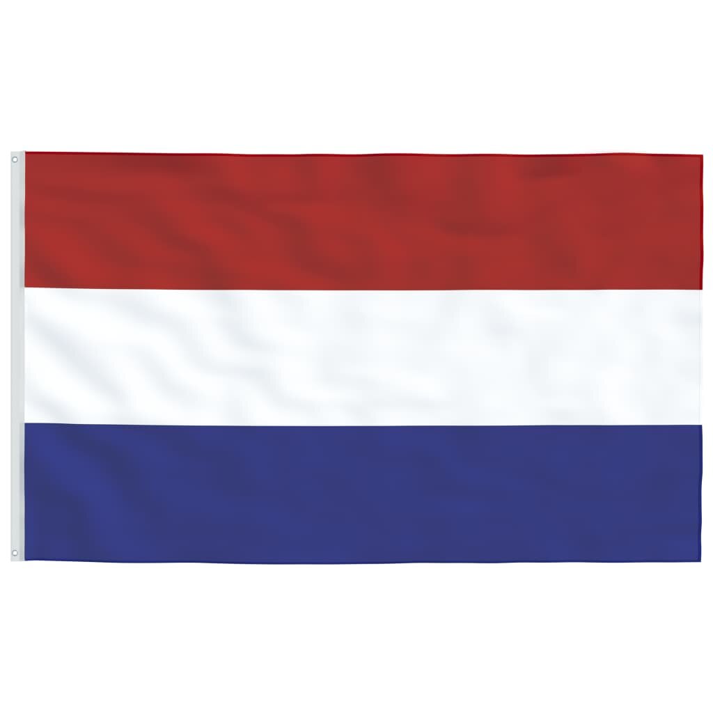 VidaXL Nyderlandų vėliava su stiebu, aliuminis, 6,23m kaina | pigu.lt
