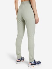 Женские спортивные брюки Icepeak ALTHAR, серо-зеленый цвет цена и информация | Спортивная одежда женская | pigu.lt