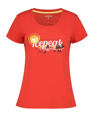 Icepeak moteriški marškinėliai BELCHER, koralų raudona kaina ir informacija | Marškinėliai moterims | pigu.lt