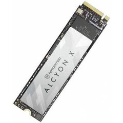 Nfortec Alcyon X, 512 GB kaina ir informacija | Išoriniai kietieji diskai (SSD, HDD) | pigu.lt