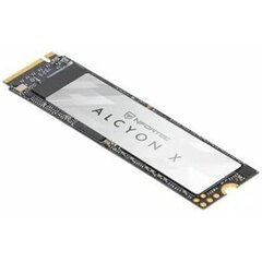 Nfortec Alcyon X, 512 GB kaina ir informacija | Išoriniai kietieji diskai (SSD, HDD) | pigu.lt