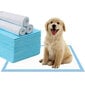 Vienkartinės šunų palutės, 60x60 cm, 40 vnt kaina ir informacija | Priežiūros priemonės gyvūnams | pigu.lt