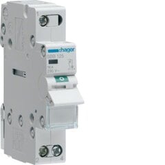 Разъединитель со световым индикатором SBB125 25A 1P Hager цена и информация | Выключатели, розетки | pigu.lt