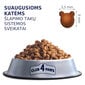 Club 4 Paws Premium visavertis ėdalas suaugusioms katėms šlapimo sistemos palaikymui, 2 kg kaina ir informacija | Sausas maistas katėms | pigu.lt