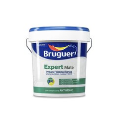 Краска Bruguer 5222118 75 cl Белый цена и информация | Краска | pigu.lt