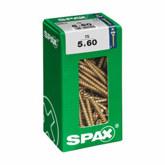 Varžtų dėžutė Spax, 0.5 x 6 cm kaina ir informacija | Mechaniniai įrankiai | pigu.lt