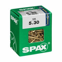 Varžtų dėžutė Spax, 0.5 x 3 cm kaina ir informacija | Mechaniniai įrankiai | pigu.lt