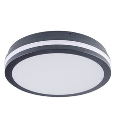 Светодиодный плафон BENO 24W NW O GR серый цена и информация | Потолочные светильники | pigu.lt