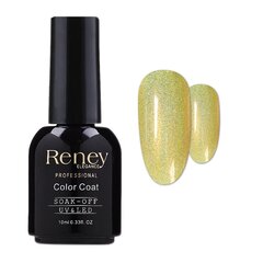 Reney Голографический радужный лак № 06 10 мл цена и информация | Reney Cosmetics Духи, косметика | pigu.lt