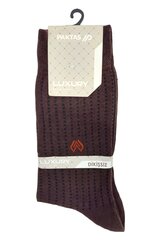 Klasikinės kojinės vyrams Paktas 1595 Luxury kaina ir informacija | Vyriškos kojinės | pigu.lt