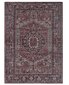 Vercai Rugs kilimas Fenix 200x290 cm kaina ir informacija | Kilimai | pigu.lt