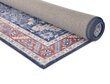 Vercai Rugs kilimas Fenix 160x230 cm kaina ir informacija | Kilimai | pigu.lt