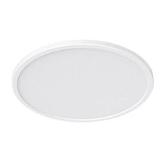 Yeelight Ceiling Light C2201C235 цена и информация | Потолочные светильники | pigu.lt