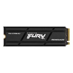 Внутренний жёсткий диск Kingston FURY Renegade, 500 Гб (SFYRSK/500G) цена и информация | Внутренние жёсткие диски (HDD, SSD, Hybrid) | pigu.lt