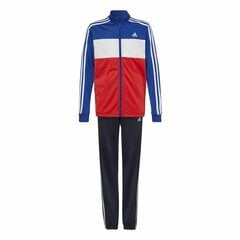 Adidas sportinis kostiumas Essentials kaina ir informacija | Komplektai berniukams | pigu.lt