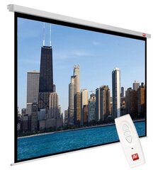 Экран для проектора AVTek Video Electric 300P (300 x 227.5 см) цена и информация | Экраны для проекторов | pigu.lt