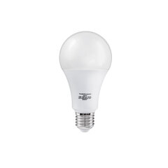 LED lemputė Thorgeon 15W E27 A70 3000K 1521lm kaina ir informacija | Elektros lemputės | pigu.lt