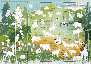 Spalvinimo plakatas Lenkijos gyvūnai miške kaina ir informacija | Lavinamieji žaislai | pigu.lt