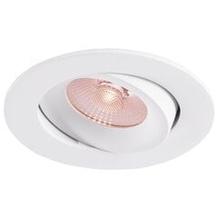 Светодиодный потолочный светильник Downlight 10W 3000K/4000K/5700K 800Lm 45° CRI 90 Flicker-Free Cutout 83-88mm (External Driver Included) RAL9003 THORGEON цена и информация | Монтируемые светильники, светодиодные панели | pigu.lt