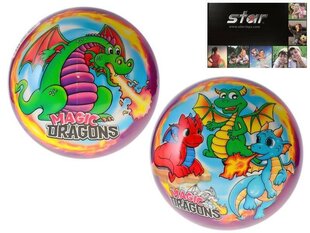 Kamuolys Magic Dragons kaina ir informacija | Vandens, smėlio ir paplūdimio žaislai | pigu.lt