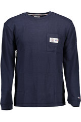 Мужской свитер Tommy Hilfiger, белый цена и информация | Мужские свитера | pigu.lt