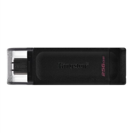 Kingston DataTraveler 256GB USB 3.2 kaina ir informacija | USB laikmenos | pigu.lt