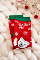 Kalėdinės kojinės vaikams Merry Bear Red 22949-224 цена и информация | Носки, колготки для девочек | pigu.lt