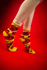 Kojinės moterims ir vyrams, įvairių spalvų kaina ir informacija | Moteriškos kojinės | pigu.lt