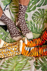 Kojinės moterims, įvairių spalvų kaina ir informacija | Moteriškos kojinės | pigu.lt