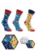 Kojinės unisex, įvairių spalvų, 3 poros kaina ir informacija | Moteriškos kojinės | pigu.lt