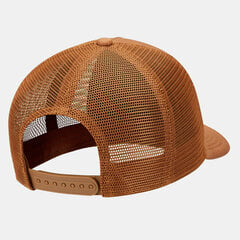 Vyriška kepurė Nike Nsw Clc99 DC3984 270 DC3984 270 kaina ir informacija | Vyriški šalikai, kepurės, pirštinės | pigu.lt