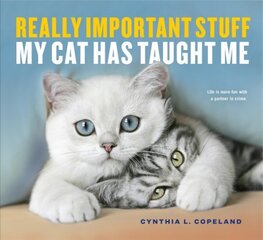 Really Important Stuff My Cat Has Taught Me цена и информация | Книги о питании и здоровом образе жизни | pigu.lt