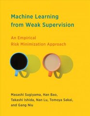 Machine Learning from Weak Supervision: An Empirical Risk Minimization Approach цена и информация | Книги по экономике | pigu.lt