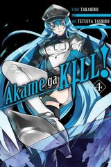 Akame ga Kill!, Vol. 4, Vol. 4 kaina ir informacija | Fantastinės, mistinės knygos | pigu.lt