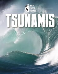 Tsunamis kaina ir informacija | Knygos paaugliams ir jaunimui | pigu.lt