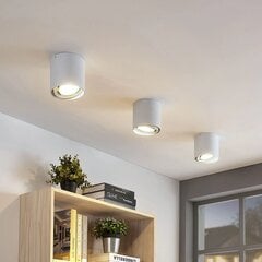Rosalie LED apatinis apšvietimas, reguliuojamas reguliavimas, 1 lemputė, apvalus, baltas kaina ir informacija | Lubiniai šviestuvai | pigu.lt