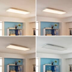 „Arcchio Enja“ LED skydelis, 79,5 cm x 29,5 cm kaina ir informacija | Įmontuojami šviestuvai, LED panelės | pigu.lt