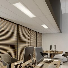 „Arcchio Nesley“ LED skydelis, 120 cm, 4000 K, baltas kaina ir informacija | Įmontuojami šviestuvai, LED panelės | pigu.lt